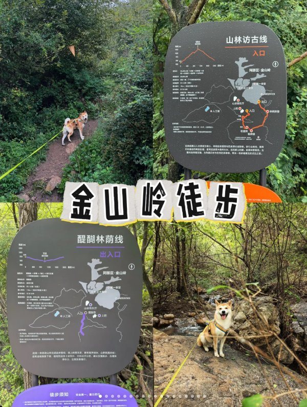 金山岭 · 山林访古线